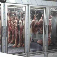 مشارکت در قصابی