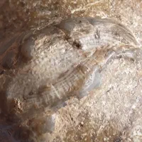 کمیابترین سنگ