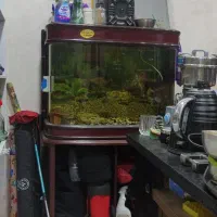 آکواریوم شیشه خم خارجی