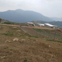 زمین فروشی ،