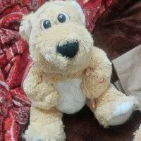 عروسک متحرک با باطری