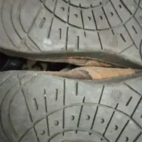 چند جفت کفش در سایز های مختلف