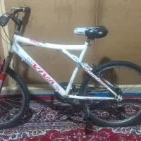 دوعدد دوچرخه پسرانه ودخترانه|دوچرخه، اسکیت، اسکوتر|فردیس, سپید دشت|دیوار