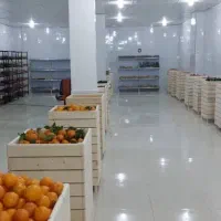 دپارتمان میوه و سبزیجات/استند سه کلیک/قفسه جزیره