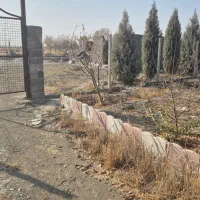 باغچه پنج ساله شهر تنکمان