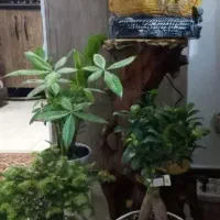 آبنمای پمپ دار به شکل صخره