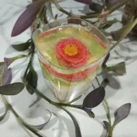 ژله|خوردنی و آشامیدنی|کرج, مصباح|دیوار