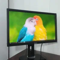 مانیتور dell 24 led فول اچ دی