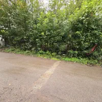 کدشخم/زمین مسکونی ۳۰۰متربرآسفالت بامجوزکوچصفهان|فروش زمین و ملک کلنگی|خشکبیجار, |دیوار