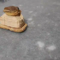 سنگ قیمتی یا مهر|جواهرات|تنکابن, |دیوار