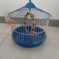 قفس پرنده نونو
