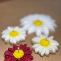 شمع گل بابونه