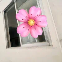 اجاره خانه ویلایی امامرضای پایین برخیابان اصلی|اجارهٔ خانه و ویلا|گرگان, |دیوار