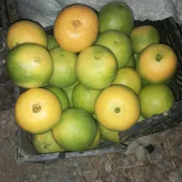 واشنگتن شیرین