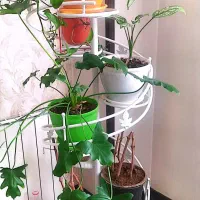 پایه گلدون فرفورژه  سفید بهمراه چهار جفت  کفش