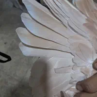 کله ای شهری|پرنده|بندر ماهشهر, |دیوار