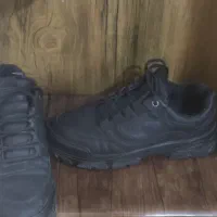 کفش نو سایز ۴۱|کیف، کفش، کمربند|فسا, |دیوار