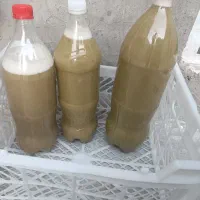 آبغوره طبیعی و محلی مال امساله تمیز و بهداشتی