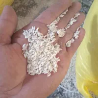 برنج عنبر بو درجه ۱ تیلکی|خوردنی و آشامیدنی|دزفول, |دیوار