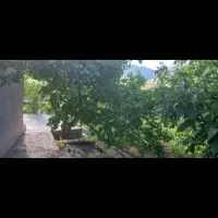 باغ|فروش خانه و ویلا|دینور, |دیوار