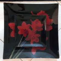 ظرف پذیرایی