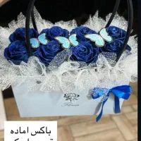 جعبه جادویی|گل و گیاه طبیعی|دورود, |دیوار