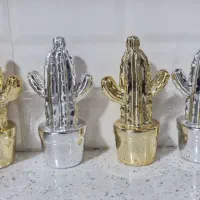 کاکتوس تزئینی