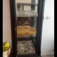 ساعت ومقداری وسیله