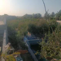 فروش زمین|فروش زمین و ملک کلنگی|مشهد, کلاته برفی|دیوار