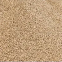 جو روس سفید گونی شده (میش بز کهره)