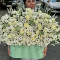 خاصترین ها|گل و گیاه طبیعی|قزوین, |دیوار