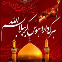 تور زیارتی کربلا قطاری.وی آی‌پی