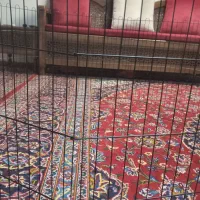 قفس بزرگ برای سگ ،خرگوش، گربه|لوازم جانبی حیوانات|شیراز, فرهنگ شهر|دیوار