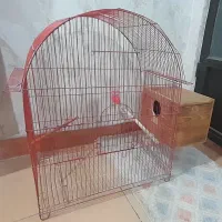 قفس پرنده|لوازم جانبی حیوانات|قدس, شهر‌قدس|دیوار