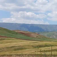 ذغال فروشی