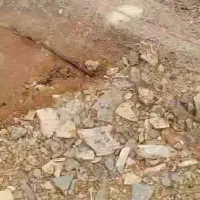 ماهی کپور و ماهی سفید|ماهی|شهرکرد, |دیوار