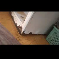 میبریم یخچال فریزر سوخته پوسیده سالم