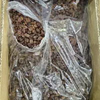 فروش کشمش طلایی صادراتی|خوردنی و آشامیدنی|اصفهان, امیرعرب|دیوار