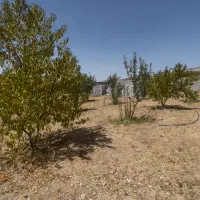 فروش باغ شهری ۱۵۰۰ متر خونه زنیان (ارژن)