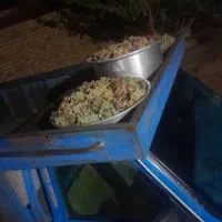 انگور‌برای‌شیره