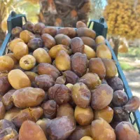 رطب|خوردنی و آشامیدنی|جره و بالاده, |دیوار