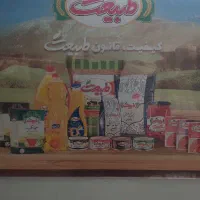 استخدام نیروی حراست(نگهبان)