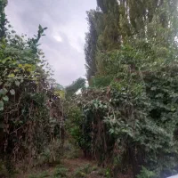 زمین داخل بافت مسکونی منطقه توریستی و ویودار