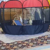 پارک برزنتی سگ.گربه.خرگوش.همستر.عروس هلندی