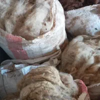 پشم خوب درجه یک برا فروش
