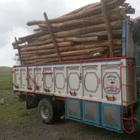 خرید چوب آلات کهنه|خدمات باغبانی و درختکاری|کوثر, |دیوار