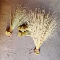 تعدادی جارو دستی محلی فروشی