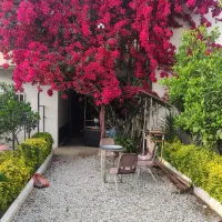 اجاره-روزانه-سوئیت