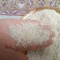 برنج عنبربو