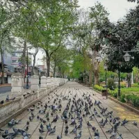 اجاره-واحد2خوابه-تجاری